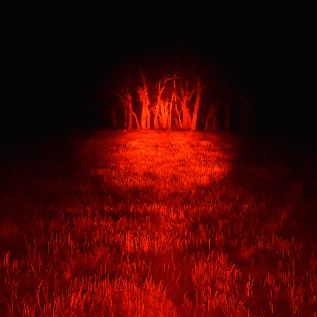 Blitz 240mm Handheld Filter Red Spot