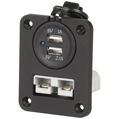 Mean Mother 50 AMP Connector & Dual USB Ports Panel